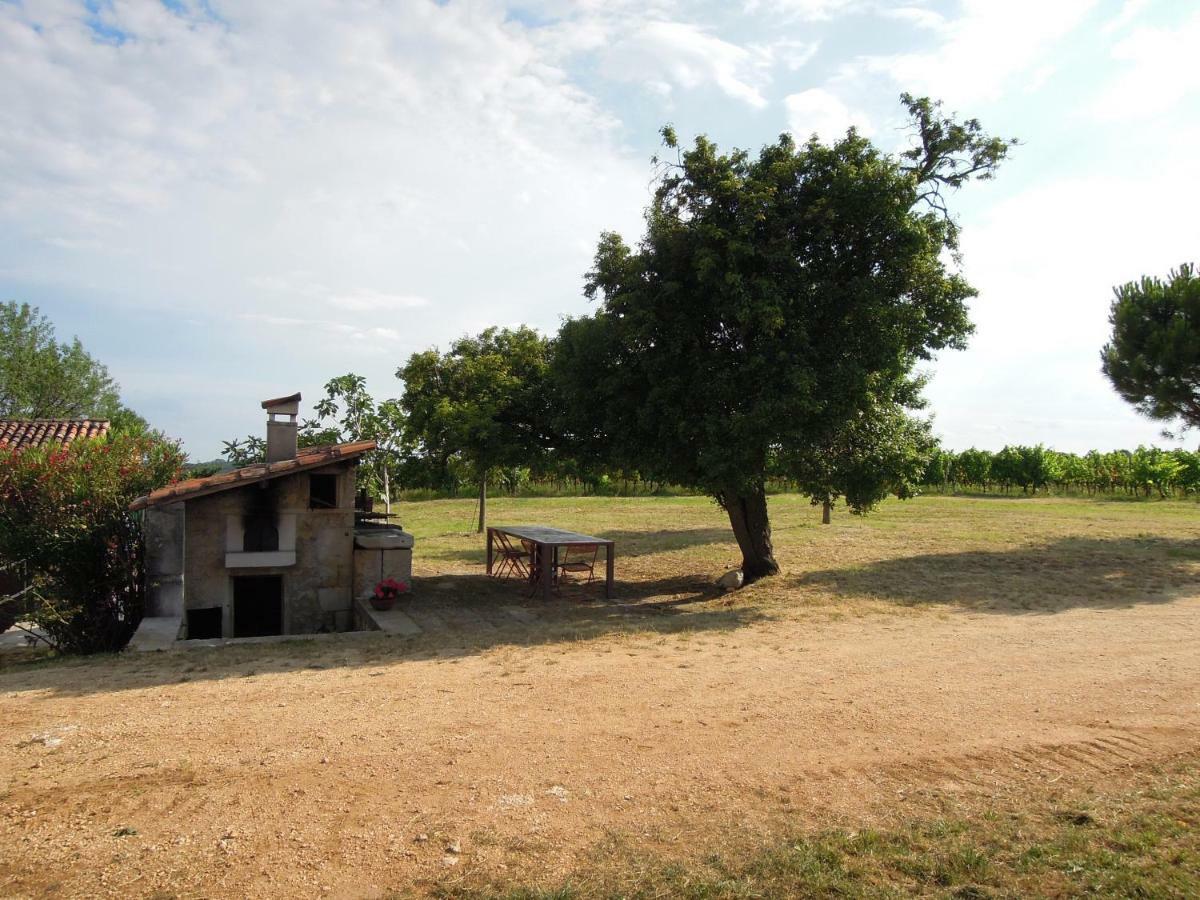 Agriturismo Del Rebene Villa Perarolo Esterno foto